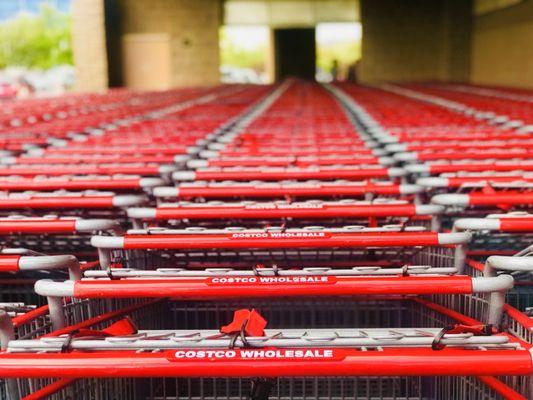 Neatly put away shopping carts