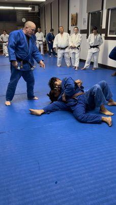 Kase gatame hold down instruction.