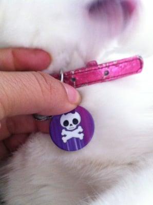 Cute cat tag