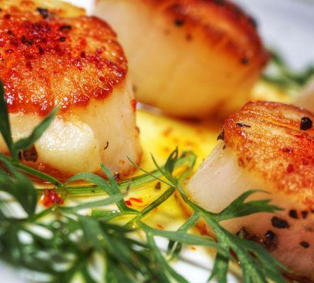 Seared scallops