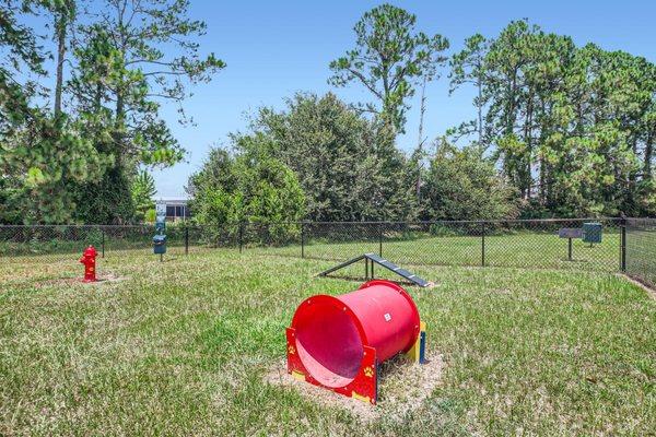 All new dog park