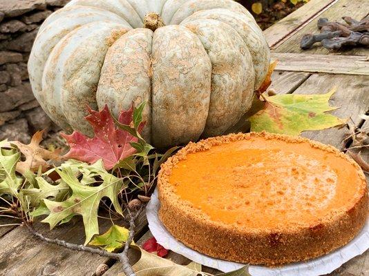 Pumpkin Cheesecake