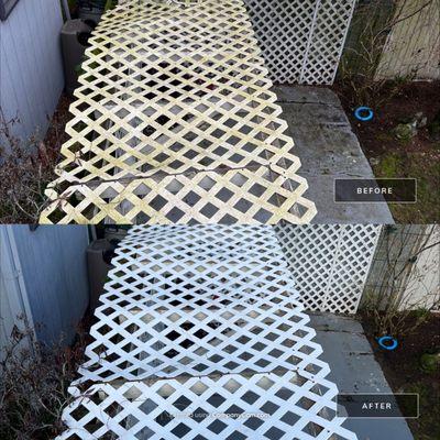 Trellis cover before and after cleaning