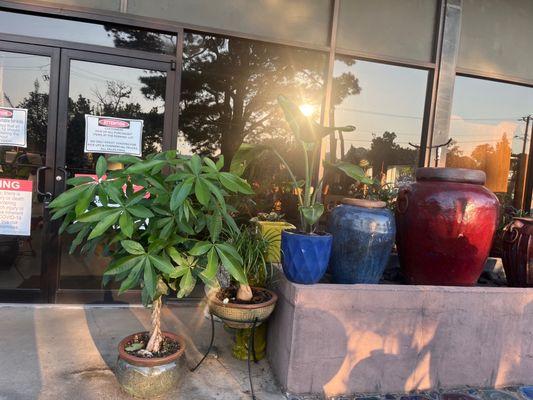 Water Fountains and nice rustic looking planters.