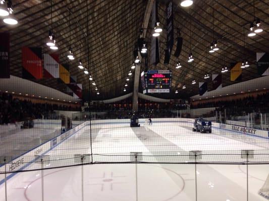 Yale Hockey - ECAC Playoffs