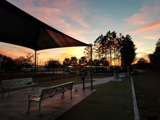 Sunset at dog park, life's complete!