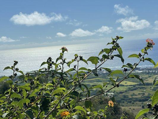 Sleeping Giant Trail