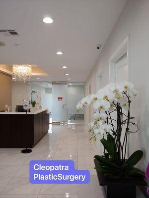 Cleopatra Plastic Surgery & Cleo Aesthetic Center