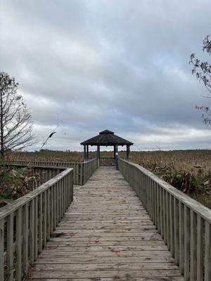 Wetland walkway