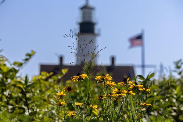 Portland Head Light