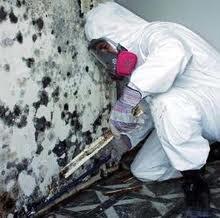 Mold testing & remediation