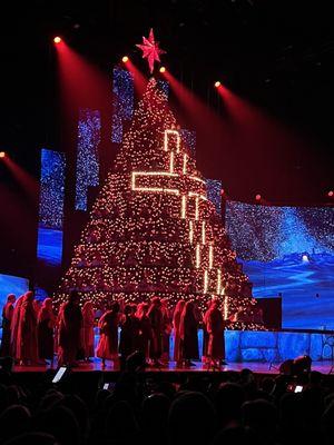 The Singing Christmas Tree!