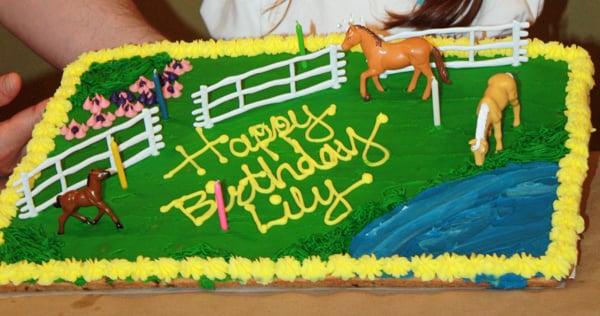 Awesome cookie cake by TCBY/Mrs. Fields in Issaquah Highlands!