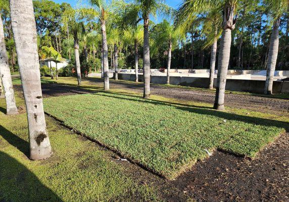 CW Willis Family Farm on Oslo Road in Vero Beach.