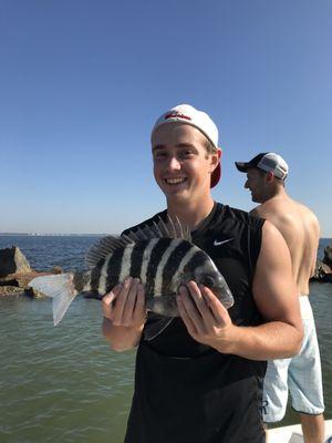 Sheepshead fishing in Charleston SC this time of year is very productive! www.exclusivefishingcharters.com