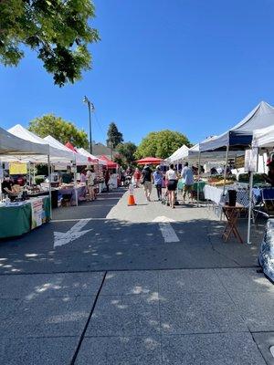 Farmer's Market in parking lot and along Haight Avenue