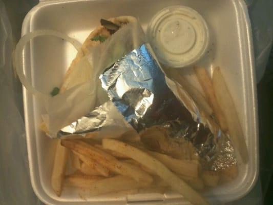 Gyro with fries