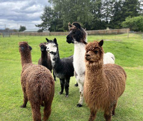 Small group hanging out together.