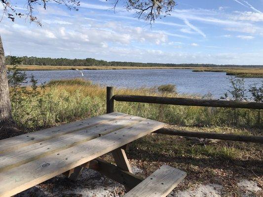 Pumpkin Hill Creek Preserve State Park