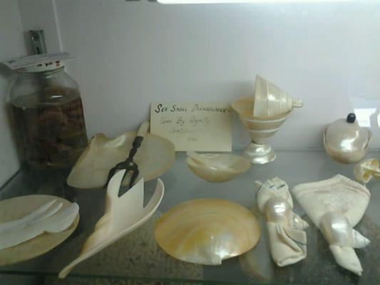 Antique dining utensils made from seashells