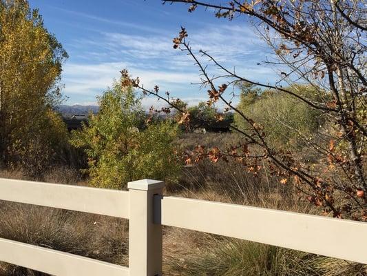 View along the trail on a Fall morning.