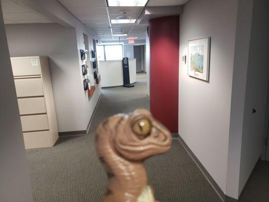 Bob the Raptor says "No mammals in this hallway!"