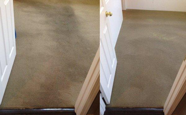 PQ Carpet Cleaning - Carmel Valley San Diego Carpet Cleaning