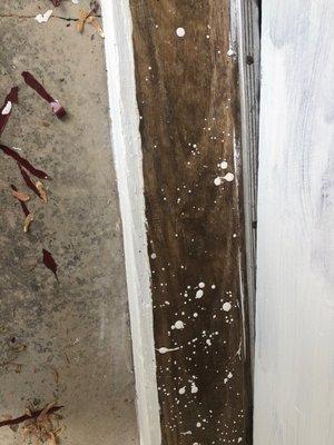 Spilled oil based primer on a 60 year old oak threshold