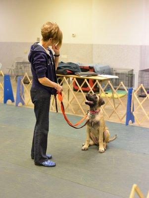 Fort Wayne Obedience Training Club