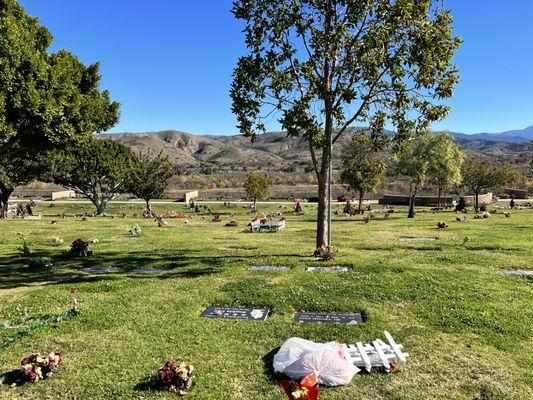 My grandma's peaceful beautiful view, her resting place.