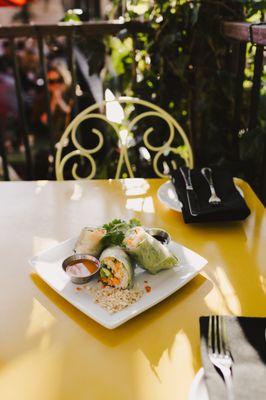 FRESH AVOCADO-SHRIMP SPRING ROLLS
rice noodles, julienned vegetables, ginger soy and chili sauces, fresh cilantro and mint, roasted peanuts