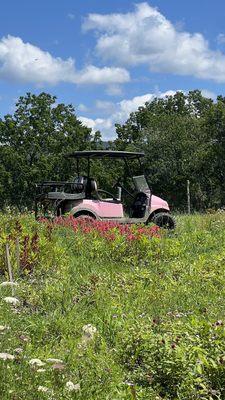 Cute golf cart