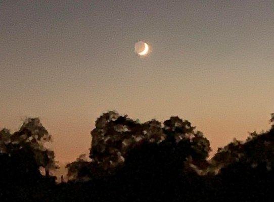 Watching the moon set