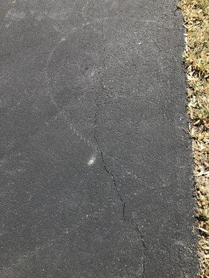 Cracked driveway