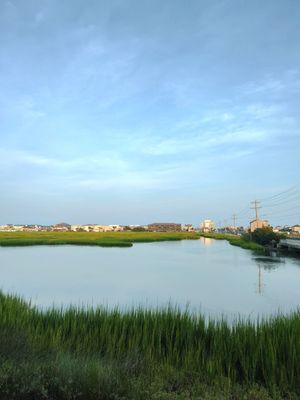 Beautiful Marsh View from Sara J's