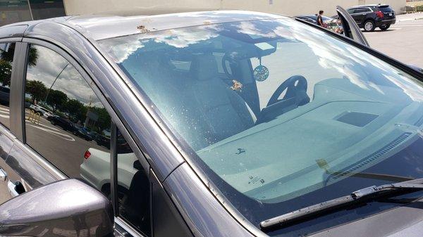 Just watched and the service didn't remove bird gifts but spread  all over the front and messed the rear windshield wiper