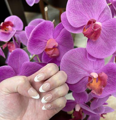 French manicure