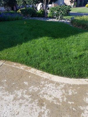 8x a year lawn care program