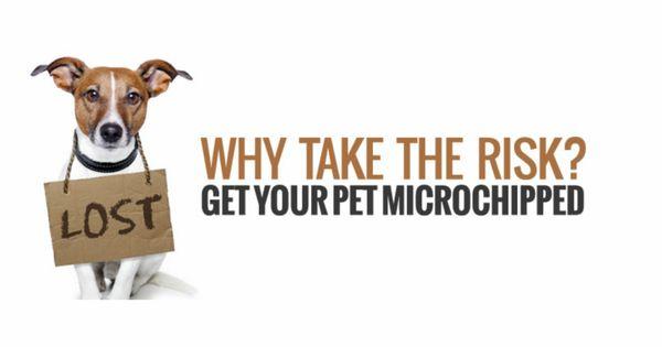 Microchips work!