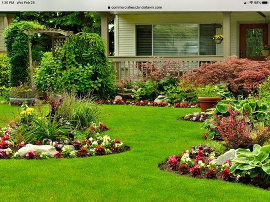 Commercial Residential Lawn and Landscape