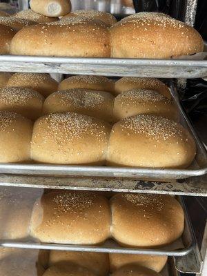 Fresh BIG hamburger buns