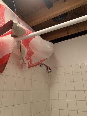 Shower ceiling