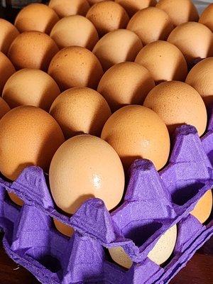 $14 per tray XL Brown eggs (tray = 2.5 dz eggs).