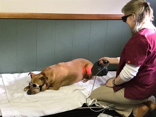 Laser therapy