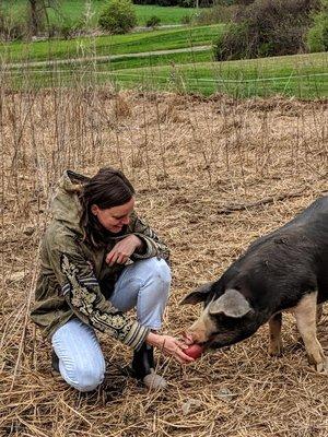 Meeting some new friends at Lover's Leap Farm.