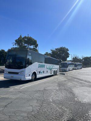 The amazing fleet of buses!