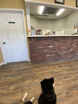 High Country Animal Clinic, PA