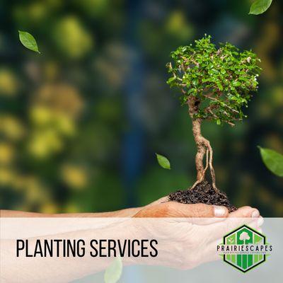 PrairieScapes Landscaping