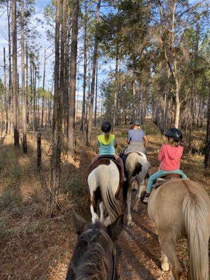 Beautiful quiet ride through the forest.