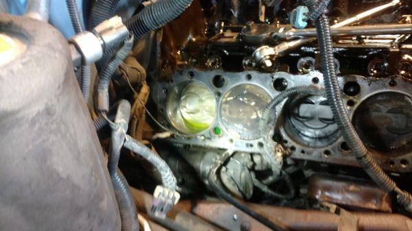 Antifreeze on the piston. This is what happens when a head gasket blows and causes white smoke to come out of the exhaust.